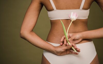 la menopausa